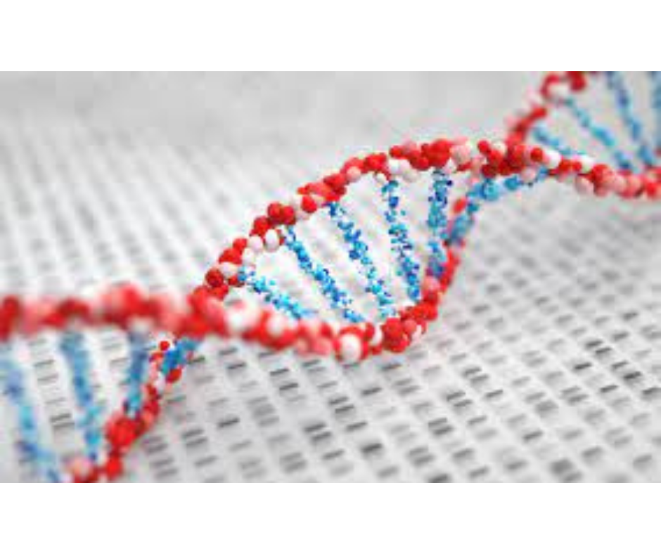 Genetic_biomarkers