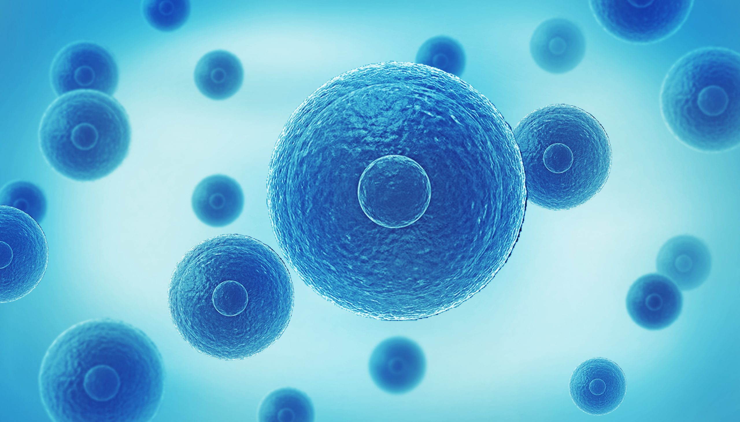 ZielBio Appoints Maria Beconi as Chief Science Officer