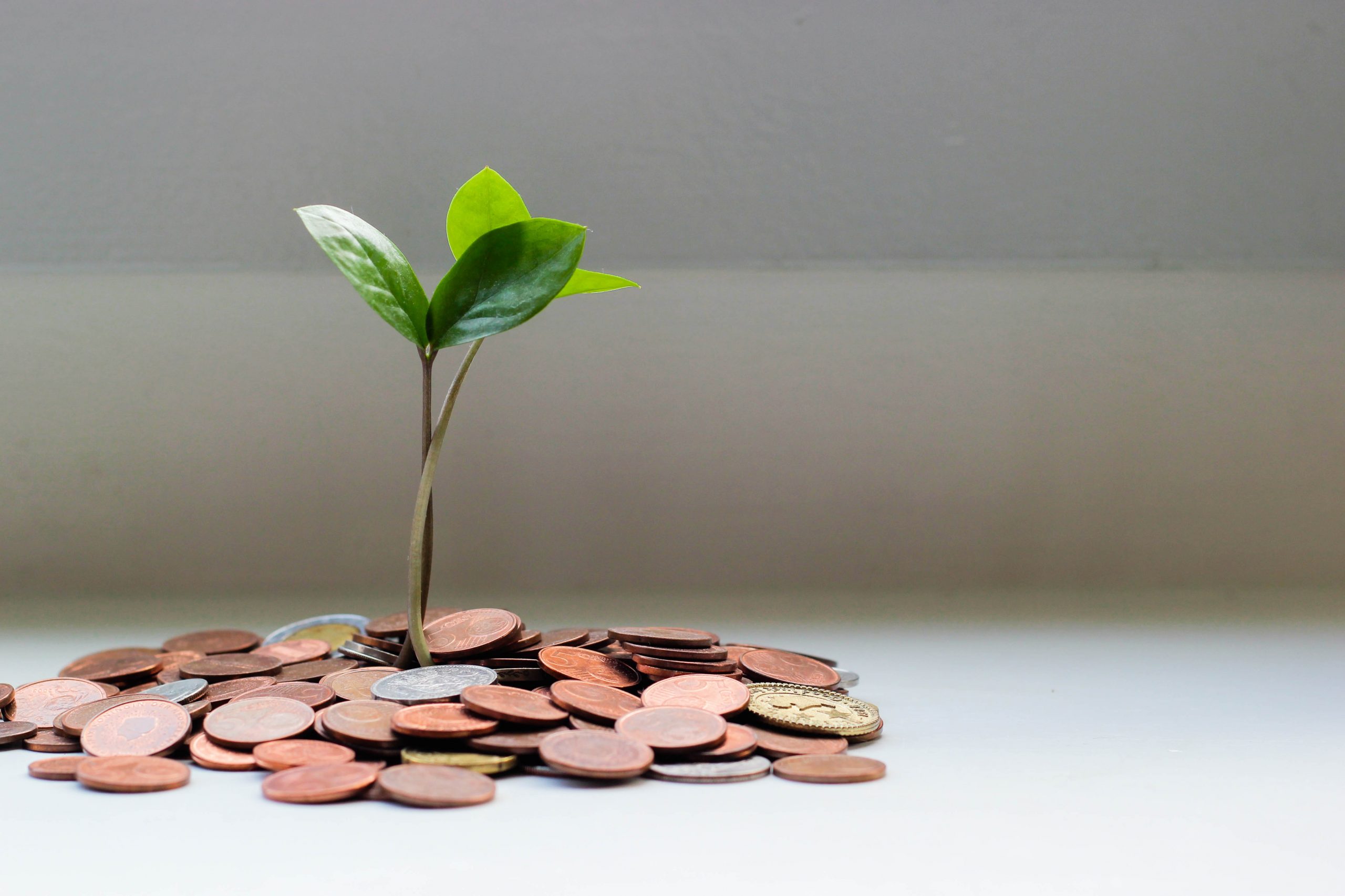 Six Charlottesville area biotech companies receive Commonwealth Commercialization Fund grants from the state